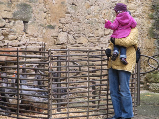 Fête de l'oie à Sarlat