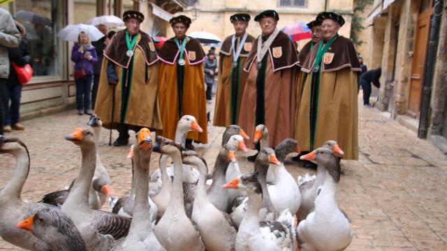 Fest'oie à Sarlat