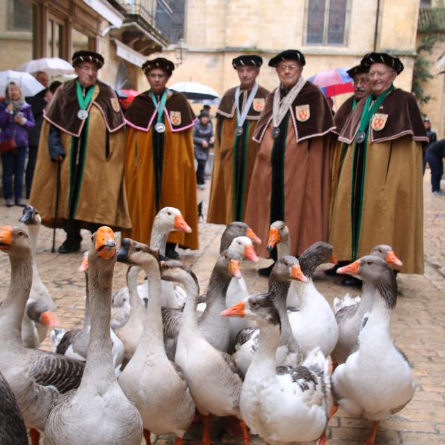 Fest'oie à Sarlat