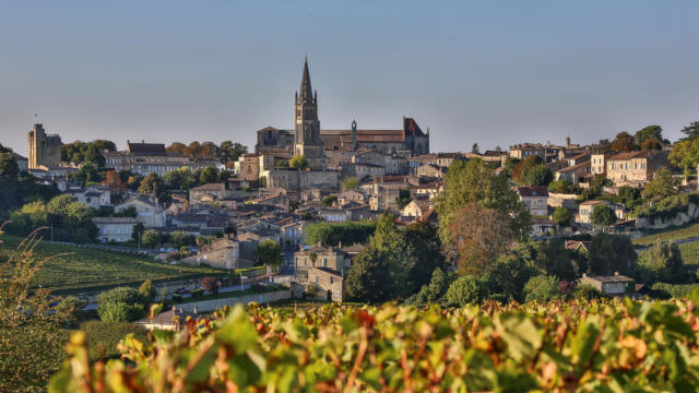 Saint-Emilion ses vins et ses vignobles