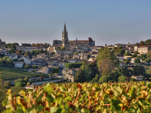 Saint-Emilion ses vins et ses vignobles