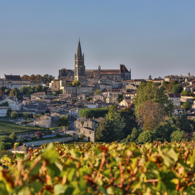 Saint-Emilion ses vins et ses vignobles