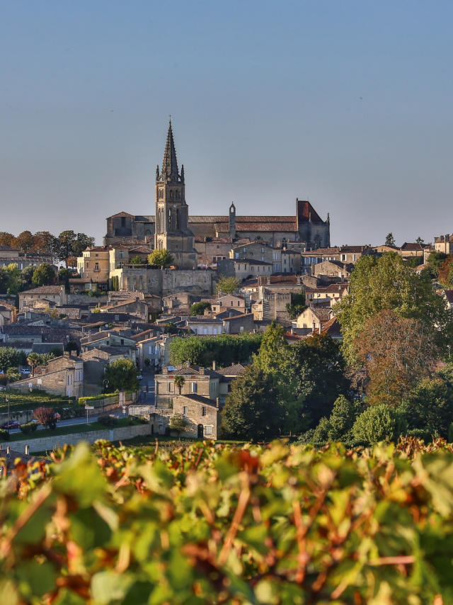 Saint-Emilion ses vins et ses vignobles