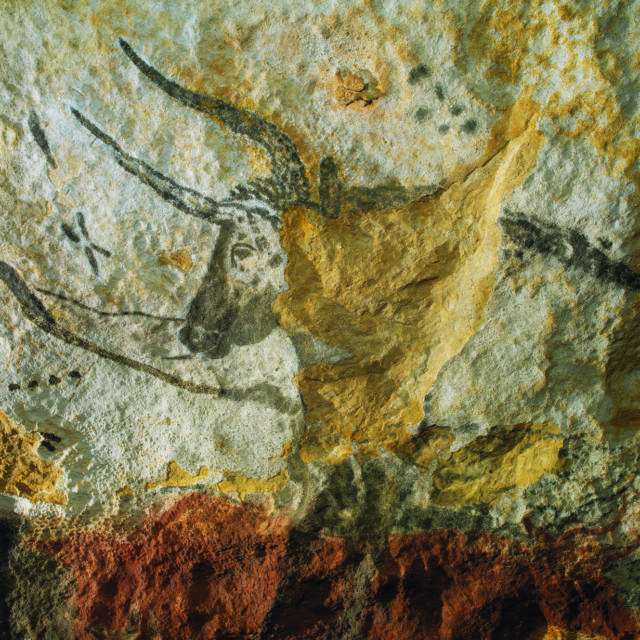 Le Taureau de Lascaux