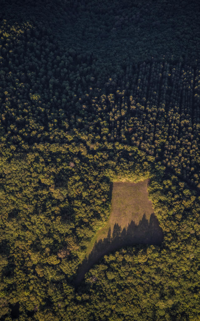 Campagne du Périgord