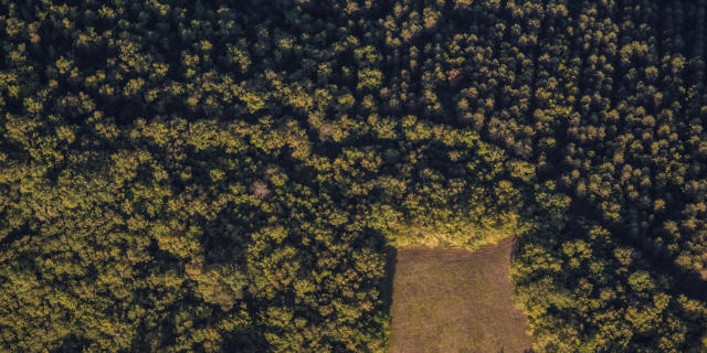 Campagne du Périgord