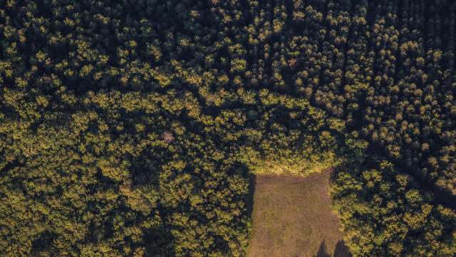 Campagne du Périgord