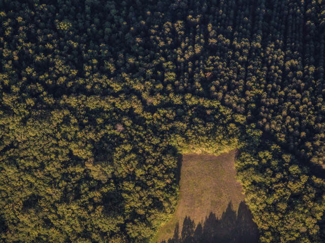 Campagne du Périgord