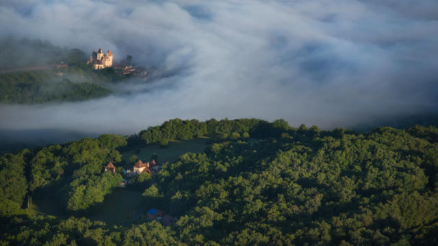 Forêt périgourdine dans la vallée de la Dordogne