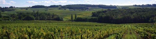 Bergerac Et Ses Vins