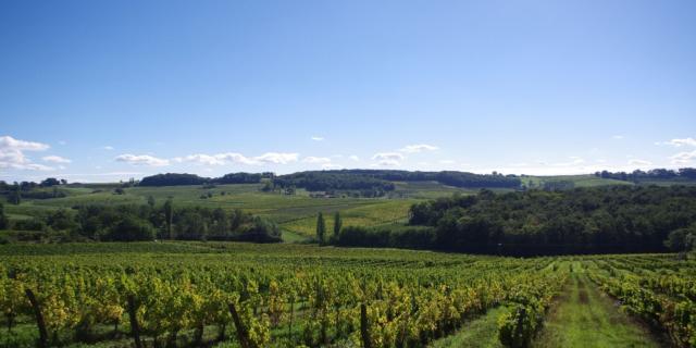 Bergerac Et Ses Vins