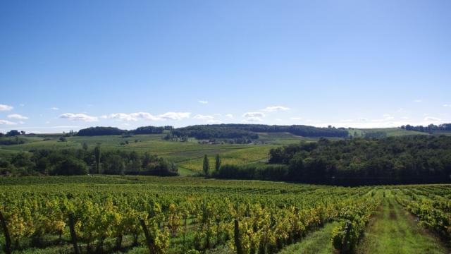 Vignoble de Bergerac