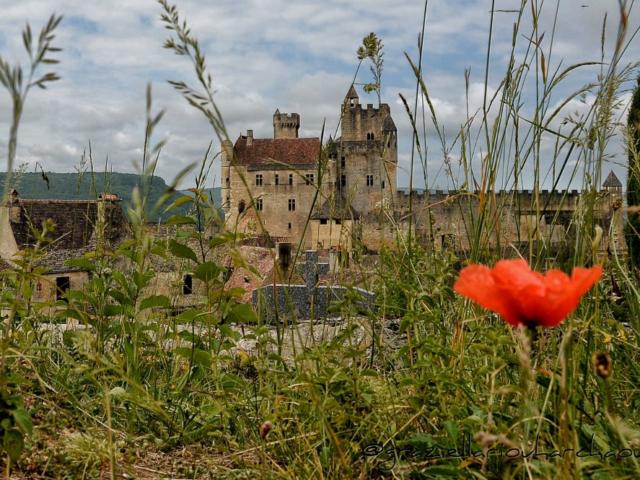 Château de Beynac sur la vallée de la Dordogne