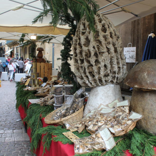 Etal de cèpes et autres champignons du Périgord