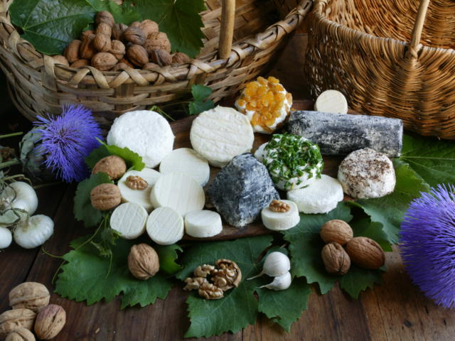 Assortiment de fromages de chèvre