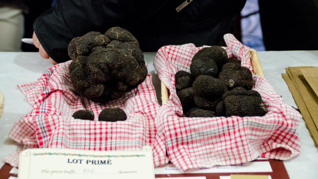 Fête De La Truffe Marché Crédit Mickael Boutry (23)