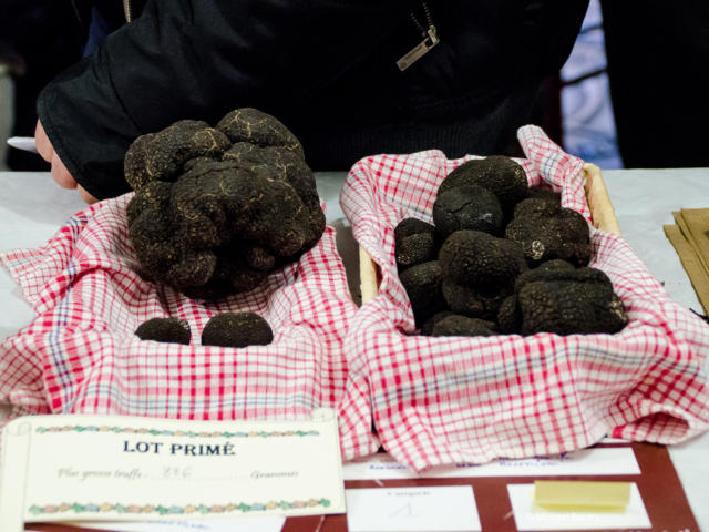 Fête De La Truffe Marché Crédit Mickael Boutry (23)