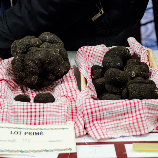 Fête De La Truffe Marché Crédit Mickael Boutry (23)