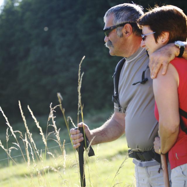 Rando dans la campagne sarladaise