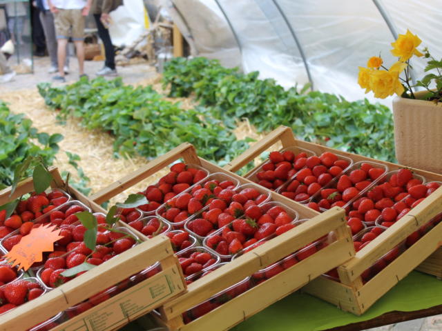 Journées du Terroir à Sarlat