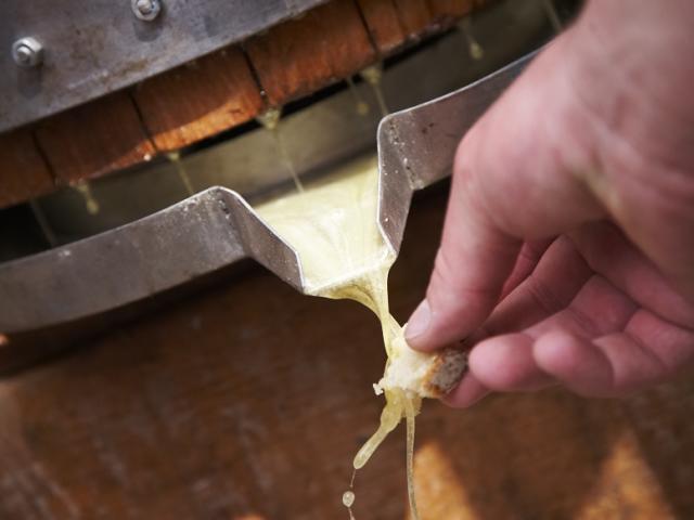 Journées du Terroir à Sarlat