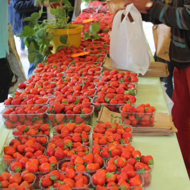 La fraise du périgord