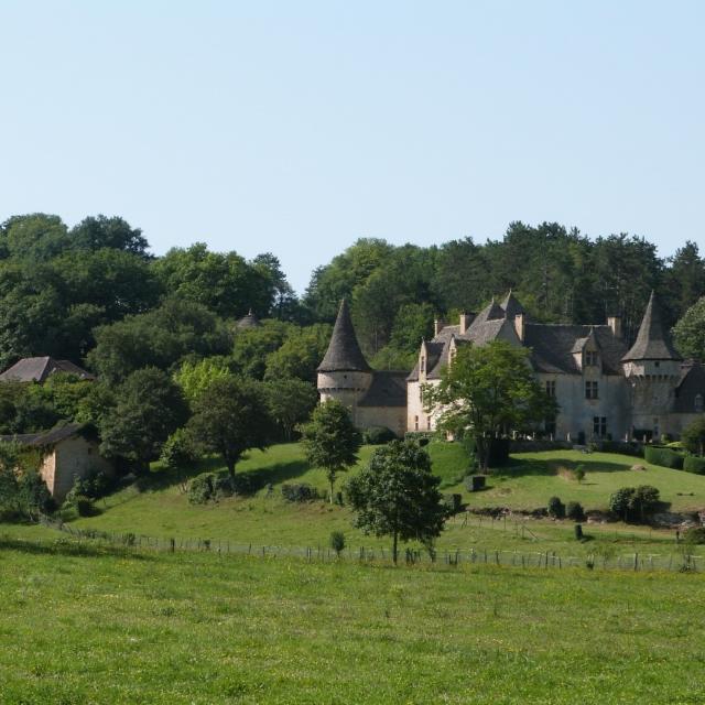 La Grande Filolie à Saint Amand de Coly