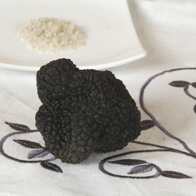 La Truffe noire du Périgord