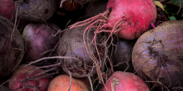 Marché bio de Sarlat