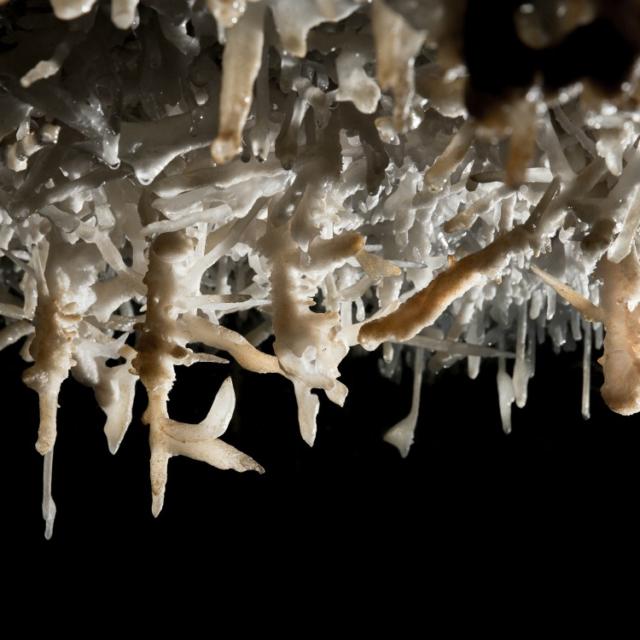 Grotte de Maxange au Buisson de Cadouin