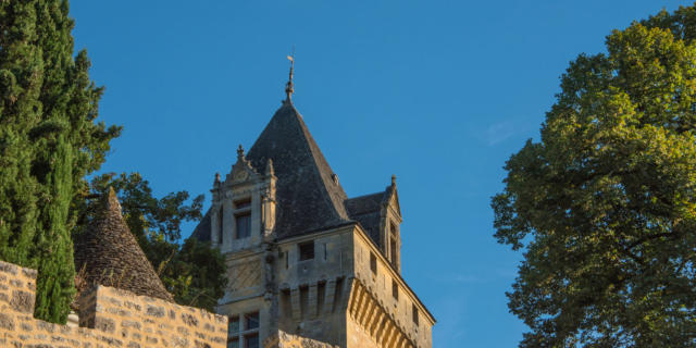 Vue sur la tour du Château de Montfort