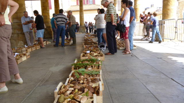 Vente de cèpes sous la halle de Villefranche du Périgord