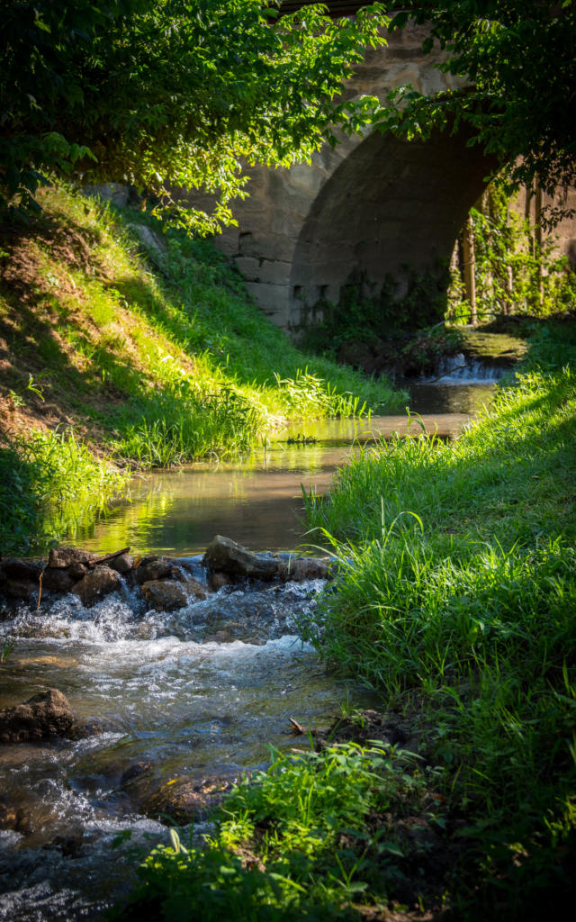 La dordogne et ses affluents