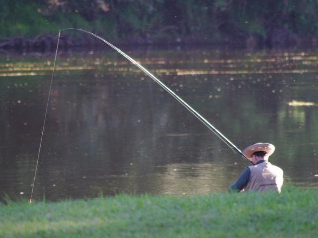 Peche sur la dordogne