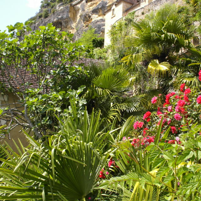 Jardin exotique de la Roque-Gageac