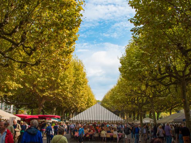 Journées du goût et de la gastronomie de Sarlat Périgord Noir