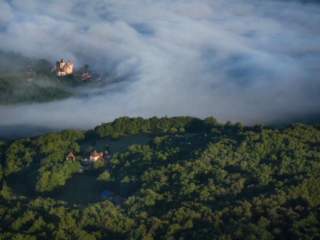 Forêt périgourdine dans la vallée de la Dordogne