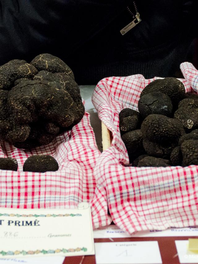 Fête De La Truffe Marché Crédit Mickael Boutry (23)