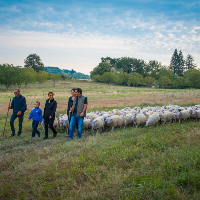 Transhumance Journées du goût et de la gastronomie Sarlat