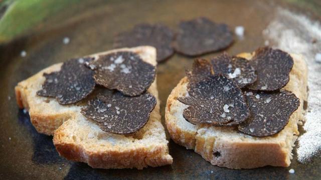 Truffe du Périgord sur toasts