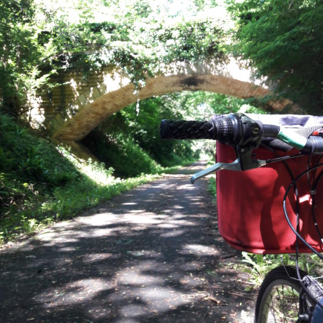 Voie Verte En Vélo