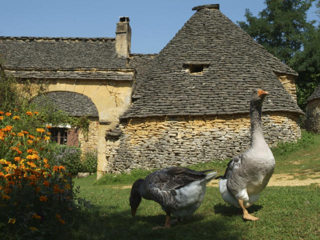 Les Cabanes du Breuil, entre Sarlat et les Eyzies