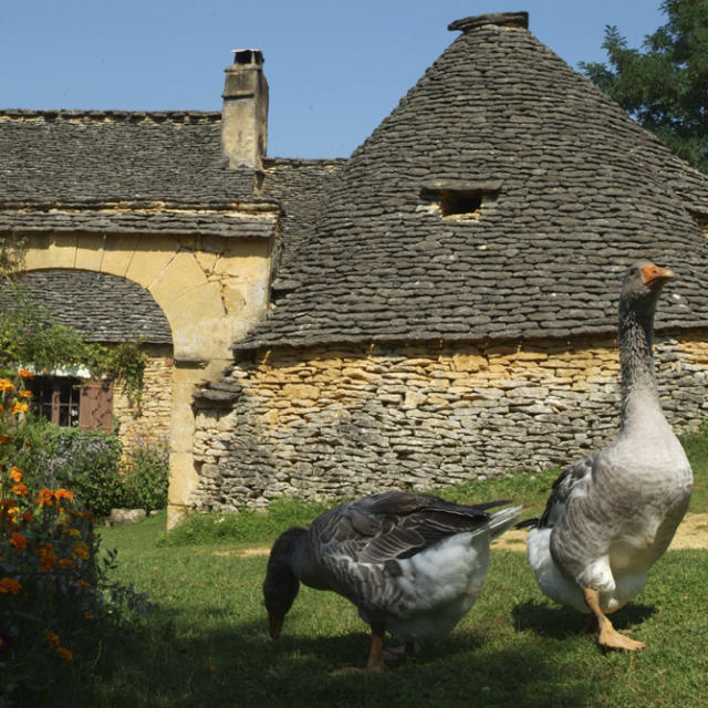 Les Cabanes du Breuil, entre Sarlat et les Eyzies