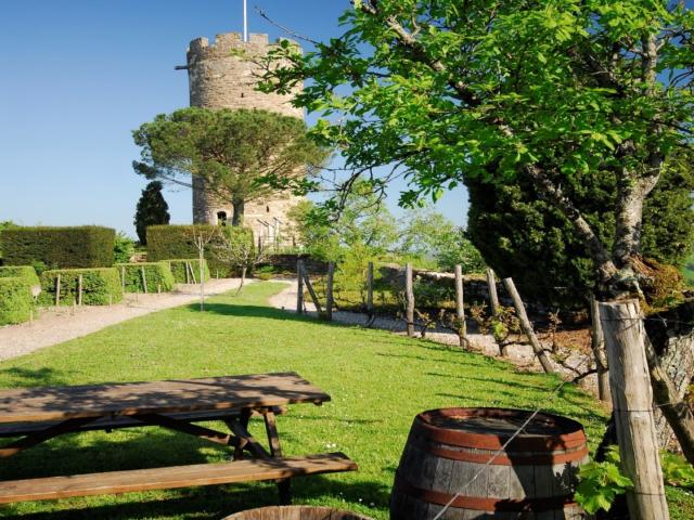 Château de Turenne près de Brive