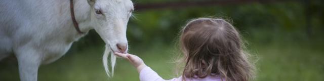 Enfant et animaux en Périgord Noir