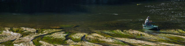 Pêcher sur la Dordogne