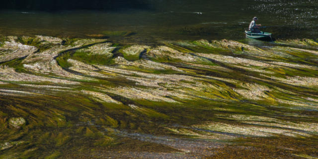 Pêcher sur la Dordogne