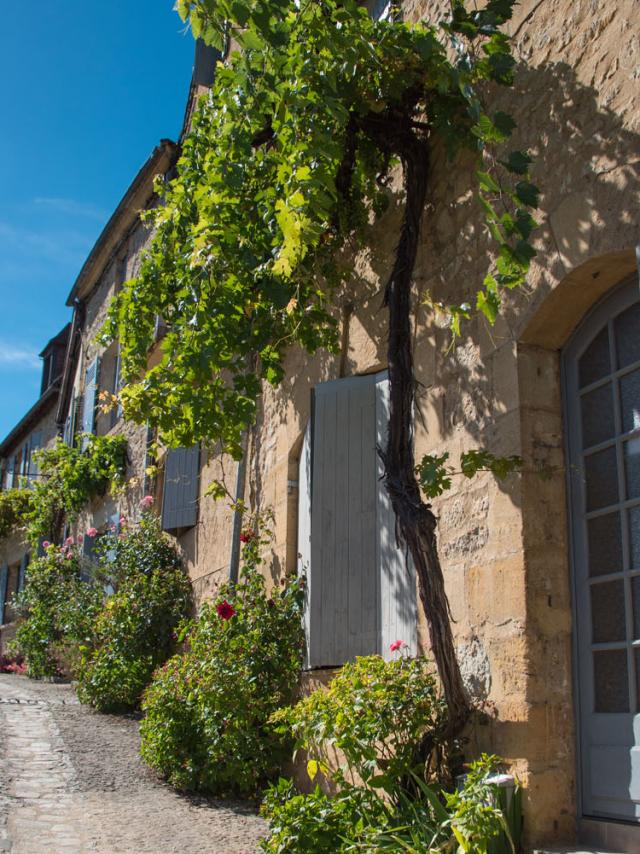 Visite découverte de Beynac