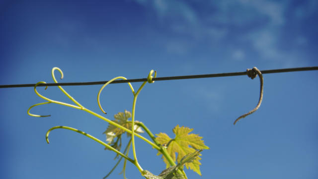 Les producteurs du Périgord