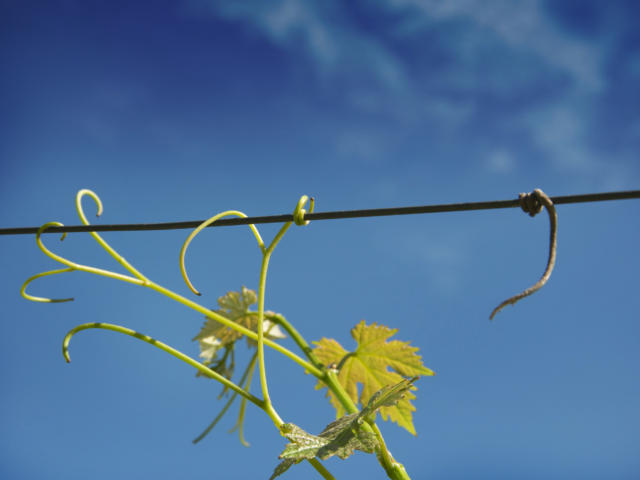 Les producteurs du Périgord